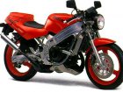 Suzuki TV 250 Wolf